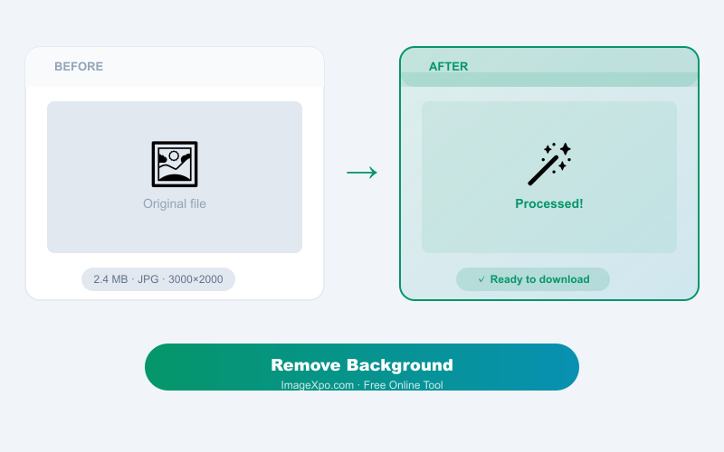 Free AI Background Remover Online - Remove BG Locally result example